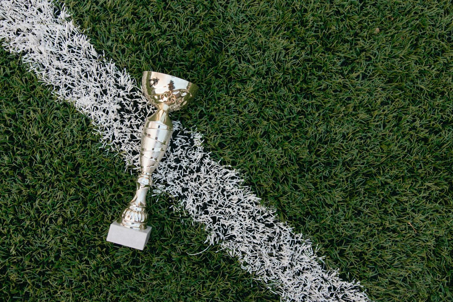 gold trophy on green grass field